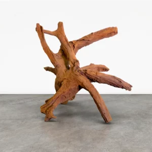 Ai wei wei