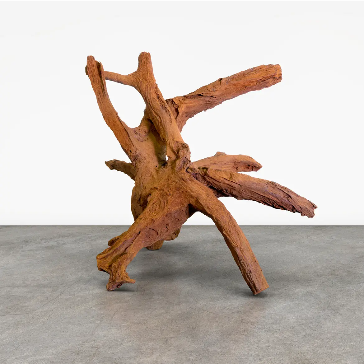 Ai wei wei